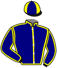 casaque portée par Ploquin Pau. Ph. jockey du cheval de course LADY D'ECOTAY, information pmu ZETURF