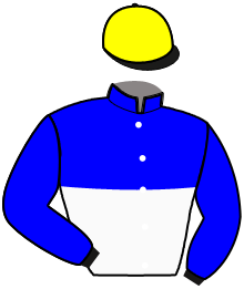 casaque portée par Cordeau Mat. jockey du cheval de course JOKER DE BELLOU, information pmu ZETURF