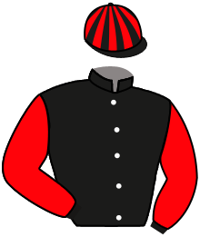 casaque portée par Journiac H. jockey du cheval de course VALWUGREEN, information pmu ZETURF