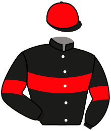 casaque portée par Guyon M. jockey du cheval de course ETATIQUE, information pmu ZETURF