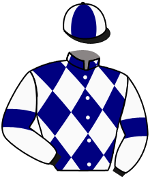 casaque portée par Roussel Leo jockey du cheval de course VILLE NATALE, information pmu ZETURF