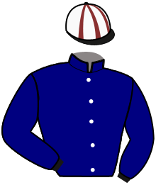 casaque portée par Bazire N. jockey du cheval de course CORAL COGER, information pmu ZETURF