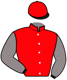 casaque portée par Laurent A. jockey du cheval de course JENNY DE JOUDES, information pmu ZETURF