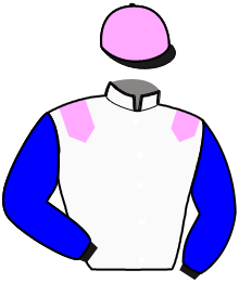casaque portée par Verva Ph. jockey du cheval de course INTELLO D'ERABLE, information pmu ZETURF