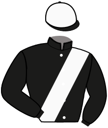 casaque portée par Raffin E. jockey du cheval de course KYOSHIRO, information pmu ZETURF