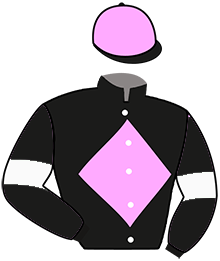 casaque portée par Piton J. Ch. jockey du cheval de course MISTER CARNOIS, information pmu ZETURF