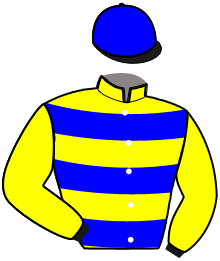 casaque portée par Desmigneux F. jockey du cheval de course MORGANE DE HOERDT, information pmu ZETURF