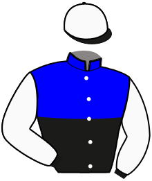 casaque portée par Desmigneux F. jockey du cheval de course LOOK A VISTA, information pmu ZETURF