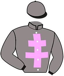 casaque portée par Lemaitre Geo. jockey du cheval de course JAVANAIS, information pmu ZETURF