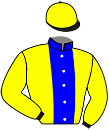casaque portée par Dromigny T. jockey du cheval de course NICE PRESENT, information pmu ZETURF