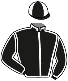 casaque portée par Ensch N. jockey du cheval de course MOOREA BOND, information pmu ZETURF