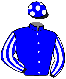 casaque portée par Ensch N. jockey du cheval de course HAFFIENOU, information pmu ZETURF