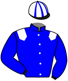 casaque portée par Foucault V. jockey du cheval de course KERGUELEN ISLANDS, information pmu ZETURF