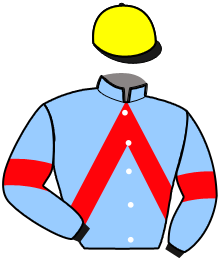 casaque portée par Decaudin X. jockey du cheval de course KINKY PAN, information pmu ZETURF