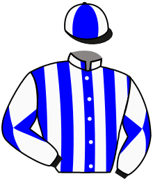 casaque portée par Breux D. jockey du cheval de course PRINCESS LAURA, information pmu ZETURF