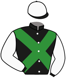 casaque portée par Gallo Mlle L. jockey du cheval de course KING ROBBE, information pmu ZETURF