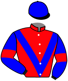 casaque portée par Guitraud C. jockey du cheval de course SHINNING MOON, information pmu ZETURF