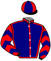 casaque portée par Morin V. jockey du cheval de course ROCK LAURA, information pmu ZETURF