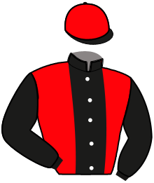 casaque portée par Corbineau Ch. jockey du cheval de course LASCAUX DU NOYER, information pmu ZETURF