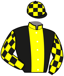casaque portée par Prioul F. jockey du cheval de course MY GIRL DE CAHOT, information pmu ZETURF