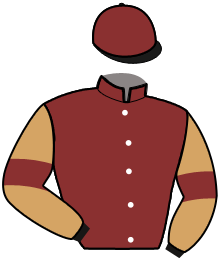 casaque portée par Lamy R. jockey du cheval de course MARIE DI LEONE, information pmu ZETURF