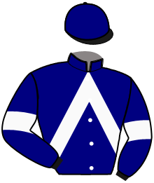 casaque portée par Meriel A. jockey du cheval de course LET'S GO LANDEMER, information pmu ZETURF