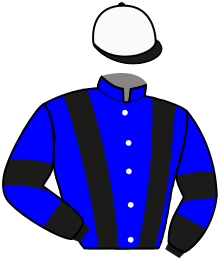 casaque portée par Abrivard A. jockey du cheval de course ELON MAIL, information pmu ZETURF