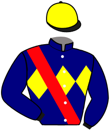 casaque portée par Lefebvre Mr C. jockey du cheval de course L'AMAZONE, information pmu ZETURF