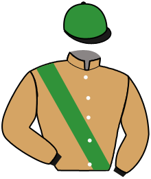 casaque portée par Lefebvre Mr C. jockey du cheval de course ROYAL LOUIS HAS, information pmu ZETURF casaque portée par Lefebvre Mr C. jockey du cheval de course ROYAL LOUIS HAS, information pmu ZETURF