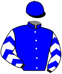 casaque portée par Philipperon L. jockey du cheval de course COLOR RITANO, information pmu ZETURF