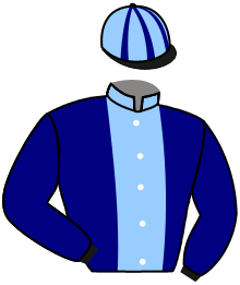 casaque portée par Mayeur R. jockey du cheval de course PEPITA STREET, information pmu ZETURF