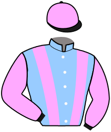 casaque portée par Ploquin Pau. Ph. jockey du cheval de course MAMAMIA DE MAKHI, information pmu ZETURF
