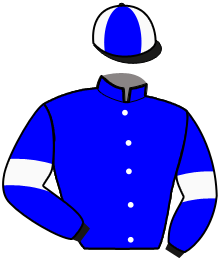 casaque portée par Mottier M. jockey du cheval de course LOUIS GAILLARD, information pmu ZETURF