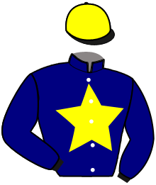 casaque portée par Royer V. jockey du cheval de course LEADER DU MOUCHEL, information pmu ZETURF