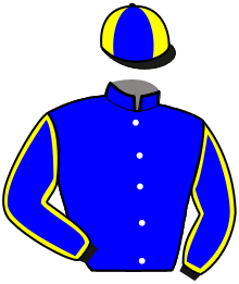 casaque portée par Grison Jul. jockey du cheval de course KARLESS DANICA, information pmu ZETURF