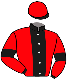 casaque portée par Raffin Th. jockey du cheval de course KADABRA, information pmu ZETURF