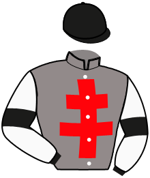casaque portée par Julien Y. jockey du cheval de course KINA DE WALLIS, information pmu ZETURF