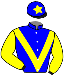 casaque portée par Besnier H. jockey du cheval de course BONNIE HOPPS, information pmu ZETURF