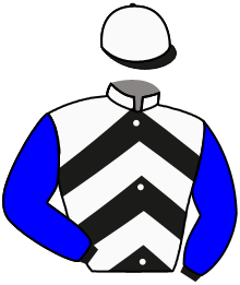 casaque portée par Cabal Mme Mat. jockey du cheval de course THE ROOM, information pmu ZETURF
