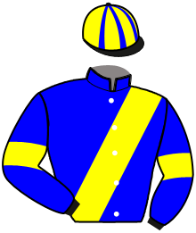 casaque portée par Gelormini G. jockey du cheval de course KETAMINE D'UZE, information pmu ZETURF