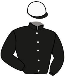 casaque portée par Gelormini G. jockey du cheval de course MEDICI DE BUSSET, information pmu ZETURF