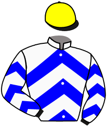 casaque portée par Lefebvre Mr C. jockey du cheval de course LE RIVAGE, information pmu ZETURF