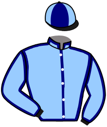 casaque portée par Bureller E. jockey du cheval de course MARTHA CANNARY, information pmu ZETURF