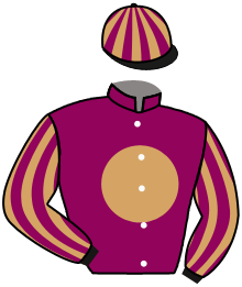 casaque portée par Lefebvre Mr C. jockey du cheval de course ZINOA, information pmu ZETURF