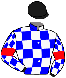 casaque portée par Beaudouin G. jockey du cheval de course IDEAL LOVER, information pmu ZETURF