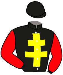 casaque portée par Marty F. jockey du cheval de course MISTRAL DE LOISEL, information pmu ZETURF