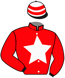 casaque portée par Schotter Mlle C. jockey du cheval de course FORREST D'EM, information pmu ZETURF