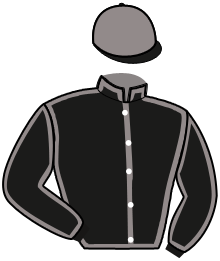 casaque portée par Cannillo D. jockey du cheval de course GENIE DE L'OUEST, information pmu ZETURF