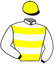 casaque portée par Valle Ric. N. jockey du cheval de course JOJO JUNIOR, information pmu ZETURF