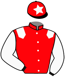 casaque portée par Gutierrez Val A. jockey du cheval de course L'ESCORIALE, information pmu ZETURF